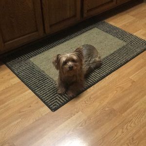 Meet your Posher, Donna